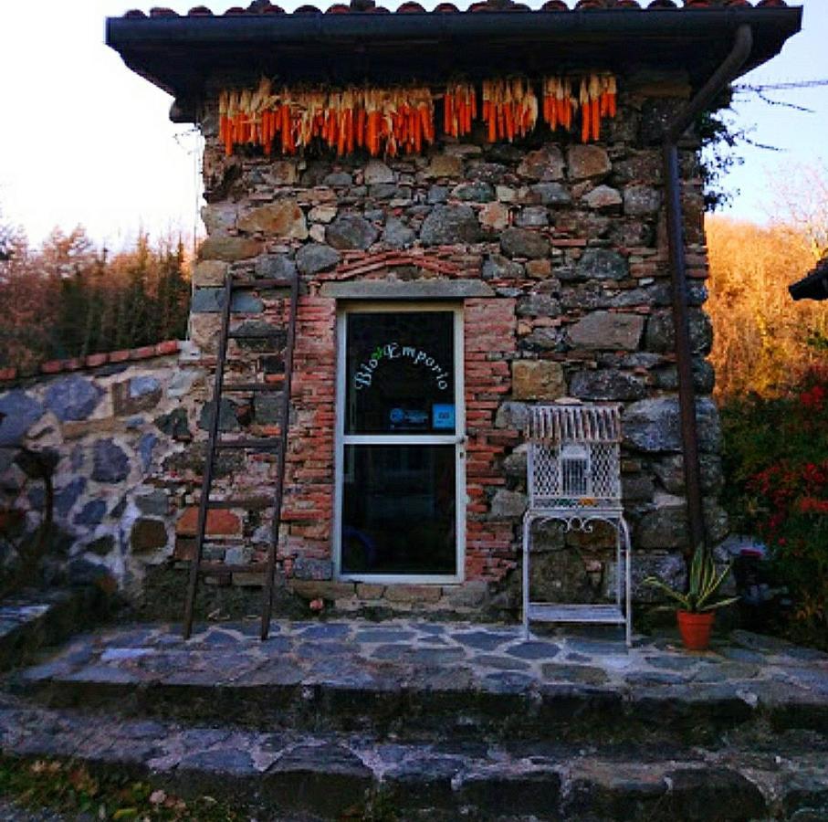 Agriturismo Paneolio Villa Collemandina Exterior photo